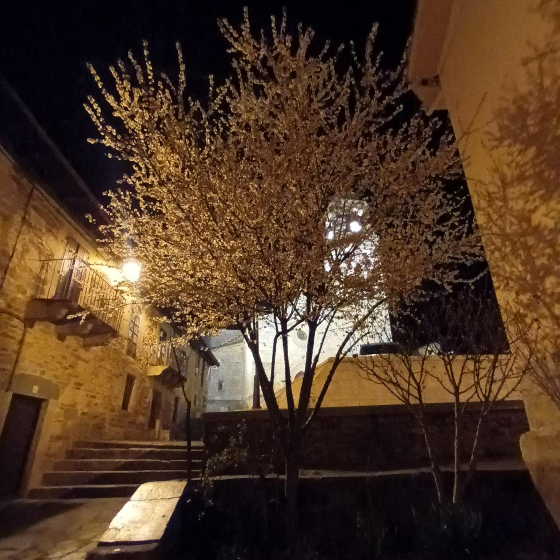 普韦布拉桑纳比亚La Artesonada Casa Con Finca别墅 外观 照片